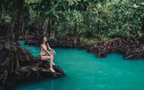 კრაბი - ტაილანდი