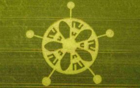 მარვლეულის რგოლები - უცნაური ფენომენი, რომელიც მსოფლიოს დღემდე აკვირვებს