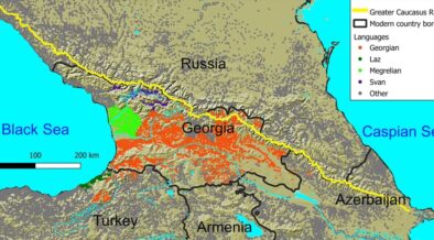 ქართველური ენები - ლინგვისტური ოჯახის ფილოგენია