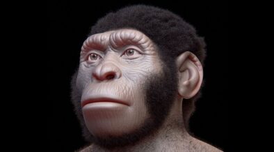 Homo Naledi: გადაშენებული ჰომინიდი